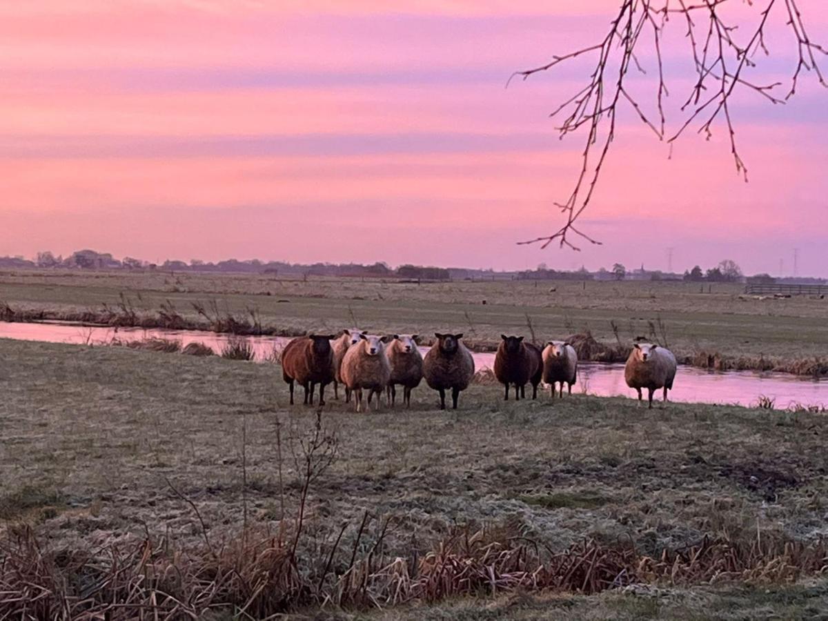 B&B De Beijersche Stee, Logies Aan De Waterkant Stolwijk المظهر الخارجي الصورة